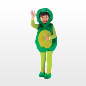 Tortoise Turtle costume