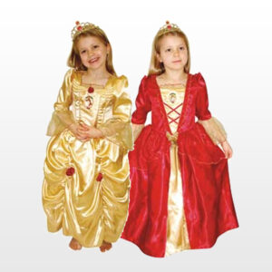 Belle Beauty & The Beast Costume