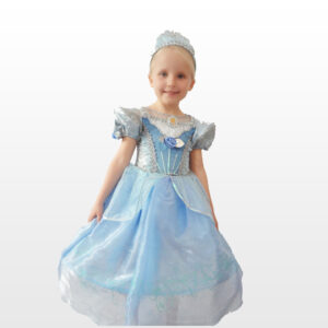 Cinderella costume