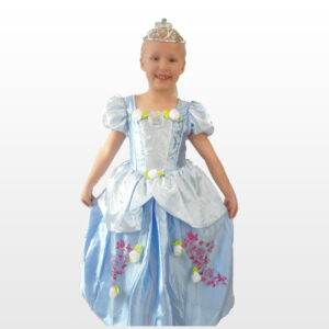 Cinderella costume