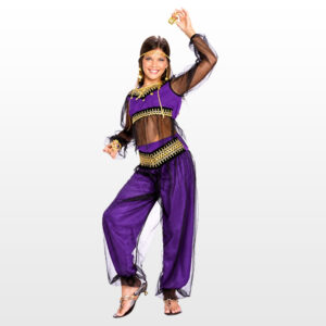 arabian princess belly dancer costume