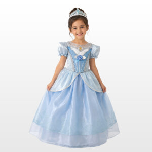 cinderella princess costume