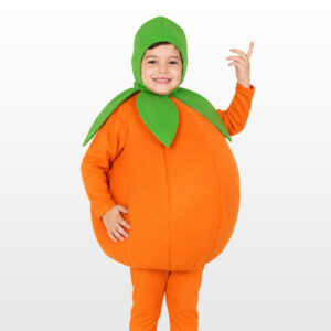 Orange Fruit costume