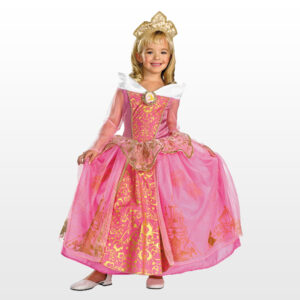 Aurora - Sleeping Beauty costume