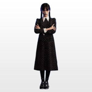 Wednesday Addams costume