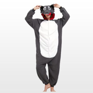 Big Bad Wolf - Red Riding Hood costume