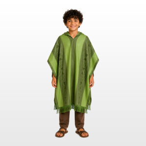 bruno madrigal encanto poncho costume