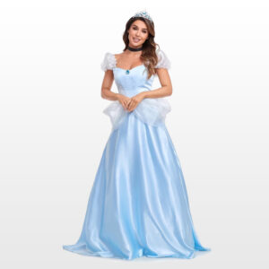 Cinderella - Princess - Adult costume